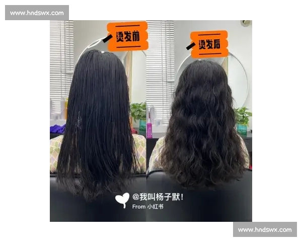 VS梳选购指南与造型护理技巧全面解析适合人群与发质对比评测